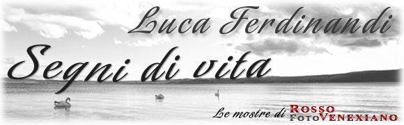 foto segni vita Luca Ferdinandi